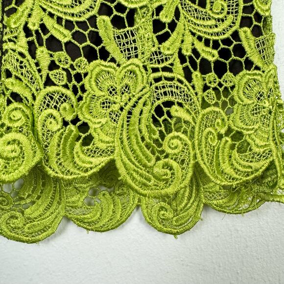 Carlisle | Green Floral & Paisley Lace Silk Lined Sleeveless Top Skirt Set - Picture 11 of 15